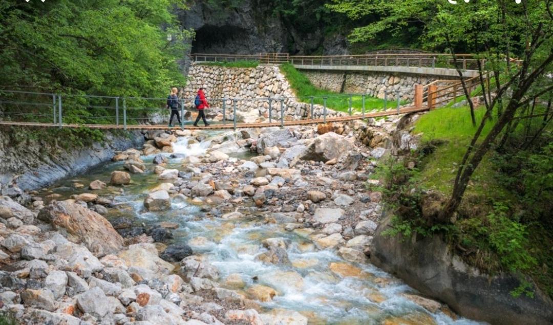 Apartma Jelendol Trzic Luaran gambar